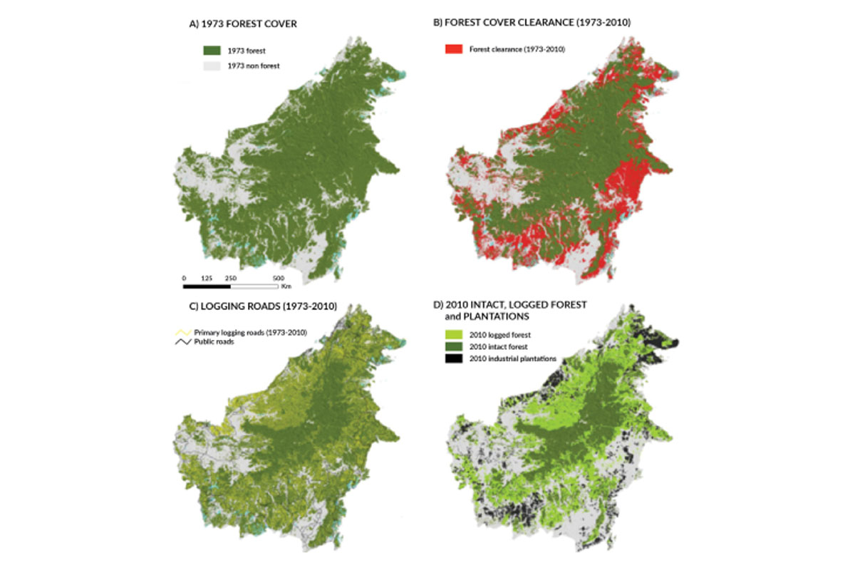 Hutan Lindung Punan Mahkam 2