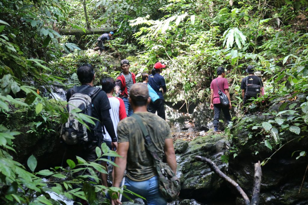 Hutan Lindung Punan Mahkam 3
