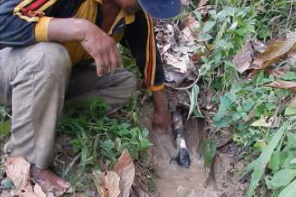 Instalsi Air Bersih 3