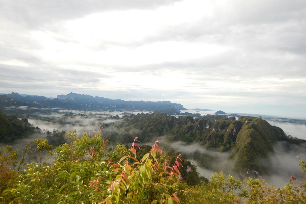 Hutan Lindung Punan Mahkam